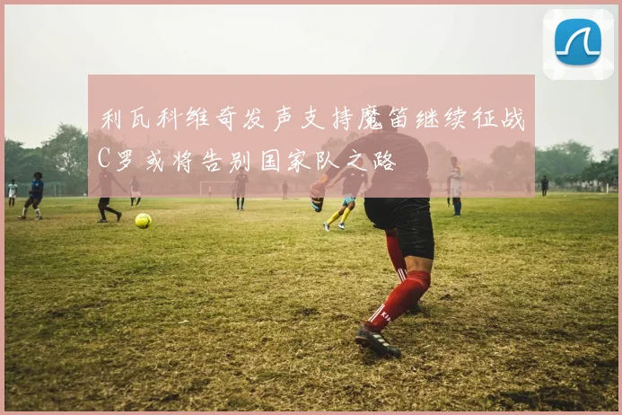 利瓦科维奇发声支持魔笛继续征战C罗或将告别国家队之路