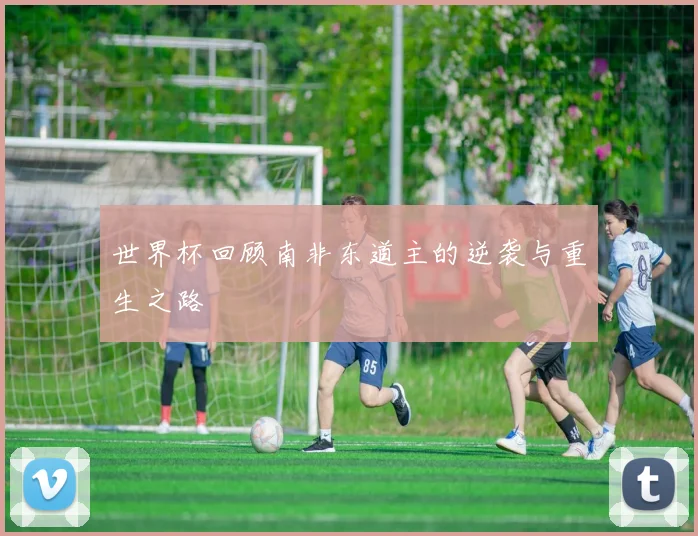世界杯回顾南非东道主的逆袭与重生之路