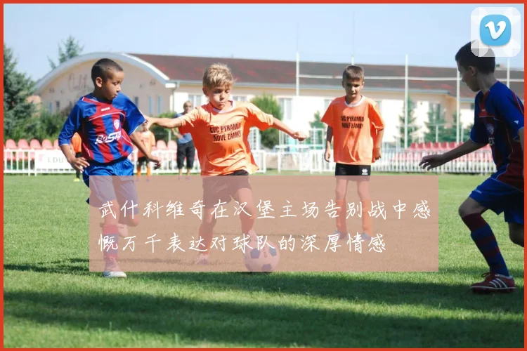 武什科维奇在汉堡主场告别战中感慨万千表达对球队的深厚情感